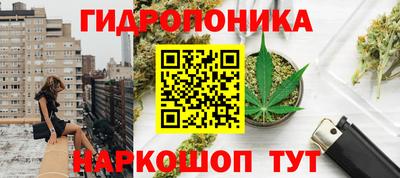 прущие крисы Кунгур