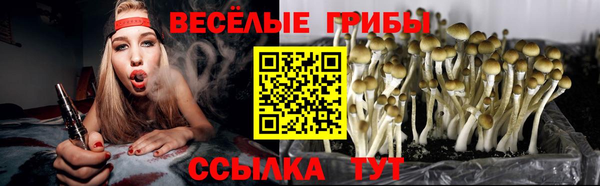 Галлюциногенные грибы GOLDEN TEACHER  Вход с VPN  Псилоцибиновые грибы Magic Shrooms  Зеленогорск 